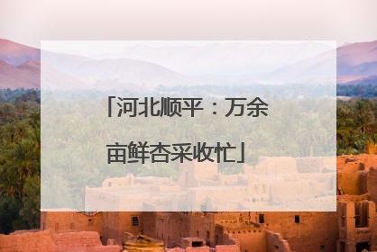 河北顺平：万余亩鲜杏采收忙