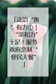 法治“衡”有力①｜“亲和力”十足！服务政府烹制“便民大餐”