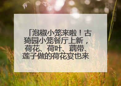 泡椒小笼来啦！古猗园小笼餐厅上新，荷花、荷叶、藕带、莲子做的荷花宴也来尝一下？