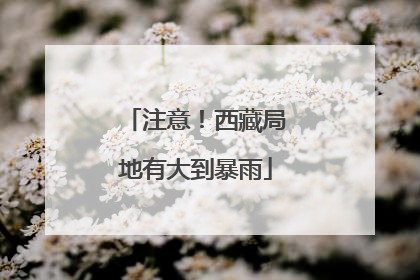 注意！西藏局地有大到暴雨