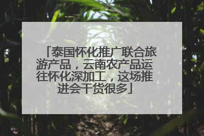 泰国怀化推广联合旅游产品，云南农产品运往怀化深加工，这场推进会干货很多