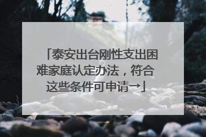 泰安出台刚性支出困难家庭认定办法，符合这些条件可申请→