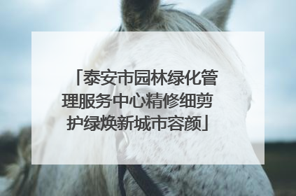 泰安市园林绿化管理服务中心精修细剪护绿焕新城市容颜