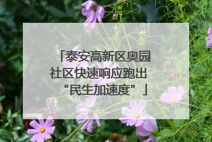 泰安高新区奥园社区快速响应跑出“民生加速度”