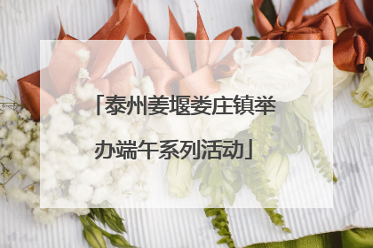 泰州姜堰娄庄镇举办端午系列活动