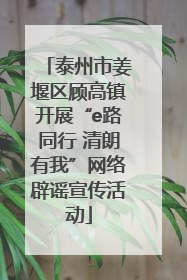 泰州市姜堰区顾高镇开展“e路同行 清朗有我”网络辟谣宣传活动