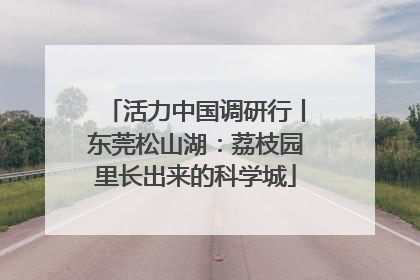 活力中国调研行丨东莞松山湖：荔枝园里长出来的科学城