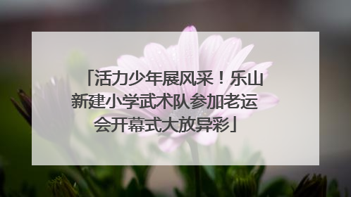 活力少年展风采！乐山新建小学武术队参加老运会开幕式大放异彩