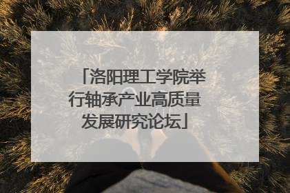洛阳理工学院举行轴承产业高质量发展研究论坛