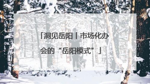 洞见岳阳丨市场化办会的“岳阳模式”
