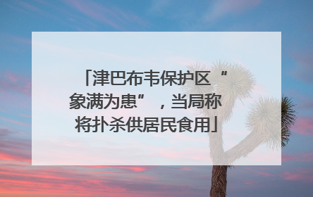 津巴布韦保护区“象满为患”，当局称将扑杀供居民食用