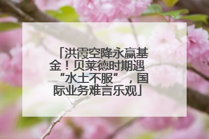 洪霞空降永赢基金！贝莱德时期遇“水土不服”，国际业务难言乐观