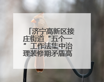 济宁高新区接庄街道“五个一”工作法集中治理装修期矛盾高发问题