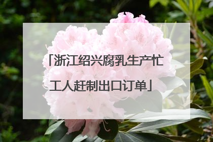 浙江绍兴腐乳生产忙 工人赶制出口订单