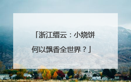 浙江缙云：小烧饼何以飘香全世界？