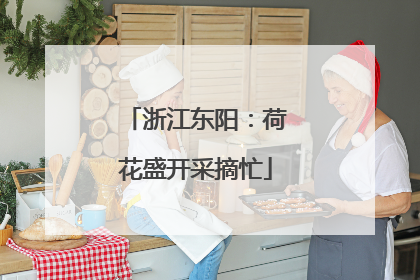 浙江东阳：荷花盛开采摘忙