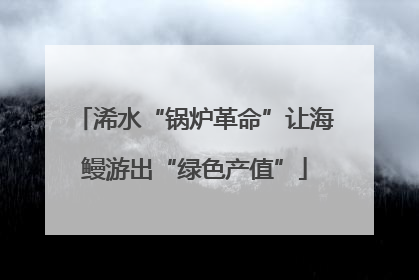 浠水“锅炉革命”让海鳗游出“绿色产值”