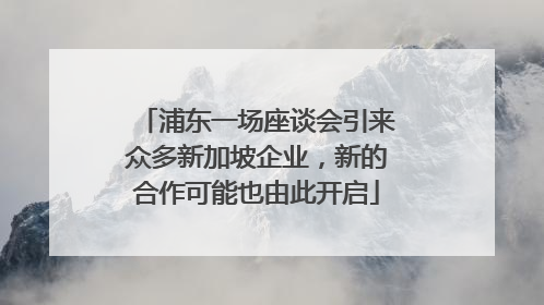 浦东一场座谈会引来众多新加坡企业，新的合作可能也由此开启