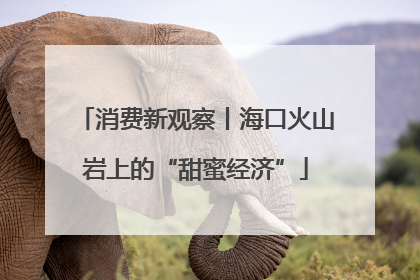 消费新观察丨海口火山岩上的“甜蜜经济”