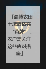 淄博农田土壤墒情亮“黄牌”，农户需关注这些应对措施
