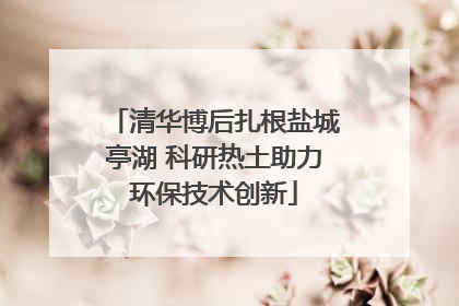 清华博后扎根盐城亭湖 科研热土助力环保技术创新