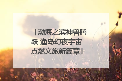渤海之滨神兽腾跃 渔岛幻夜宇宙点燃文旅新篇章