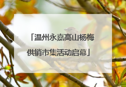 温州永嘉高山杨梅供销市集活动启幕