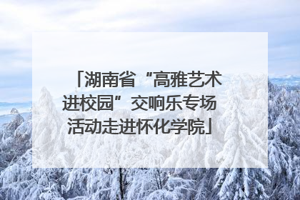 湖南省“高雅艺术进校园”交响乐专场活动走进怀化学院