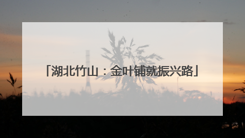 湖北竹山：金叶铺就振兴路
