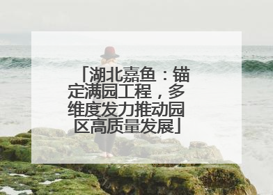 湖北嘉鱼：锚定满园工程，多维度发力推动园区高质量发展