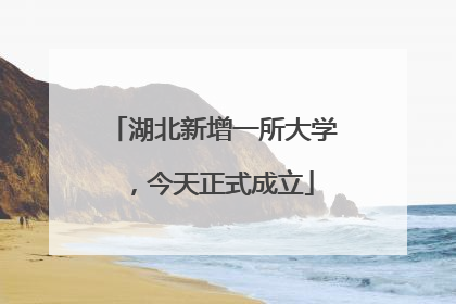 湖北新增一所大学，今天正式成立