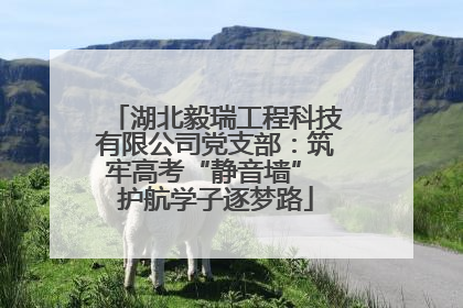 湖北毅瑞工程科技有限公司党支部：筑牢高考“静音墙” 护航学子逐梦路