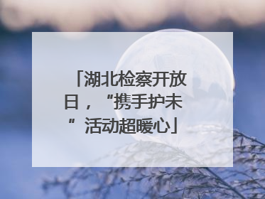 湖北检察开放日，“携手护未”活动超暖心