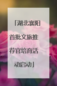 湖北襄阳首批文旅推荐官培育活动启动