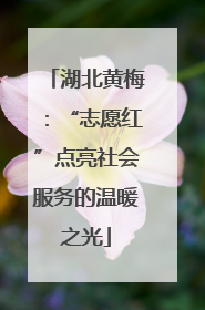 湖北黄梅：“志愿红”点亮社会服务的温暖之光