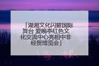 湖湘文化闪耀国际舞台 爱晚亭红色文化交流中心亮相中非经贸博览会