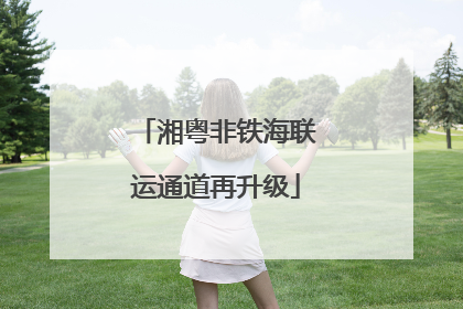 湘粤非铁海联运通道再升级