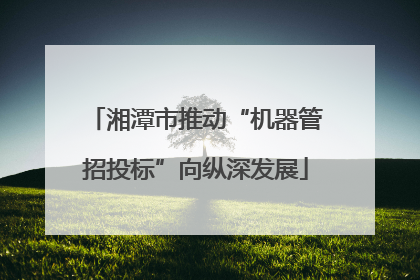 湘潭市推动“机器管招投标”向纵深发展