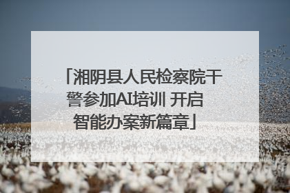 湘阴县人民检察院干警参加AI培训 开启智能办案新篇章