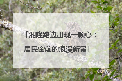 湘隆路边出现一颗心：居民窗前的浪漫新景