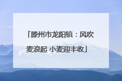 滕州市龙阳镇：风吹麦浪起 小麦迎丰收