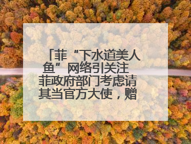 菲“下水道美人鱼”网络引关注 菲政府部门考虑请其当官方大使，赠现金开店