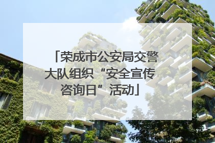 荣成市公安局交警大队组织“安全宣传咨询日”活动