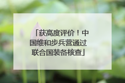 获高度评价！中国维和步兵营通过联合国装备核查