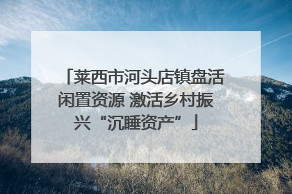 莱西市河头店镇盘活闲置资源 激活乡村振兴“沉睡资产”
