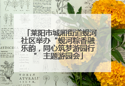 莱阳市城厢街道蚬河社区举办“蚬河粽香融乐韵，同心筑梦游园行” 主题游园会