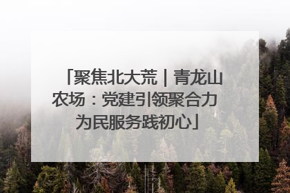 聚焦北大荒｜青龙山农场：党建引领聚合力 为民服务践初心