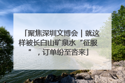 聚焦深圳文博会｜就这样被长白山矿泉水“征服”，订单纷至沓来