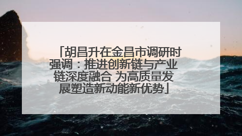 胡昌升在金昌市调研时强调：推进创新链与产业链深度融合 为高质量发展塑造新动能新优势