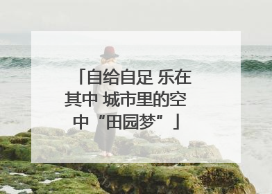 自给自足 乐在其中 城市里的空中“田园梦”